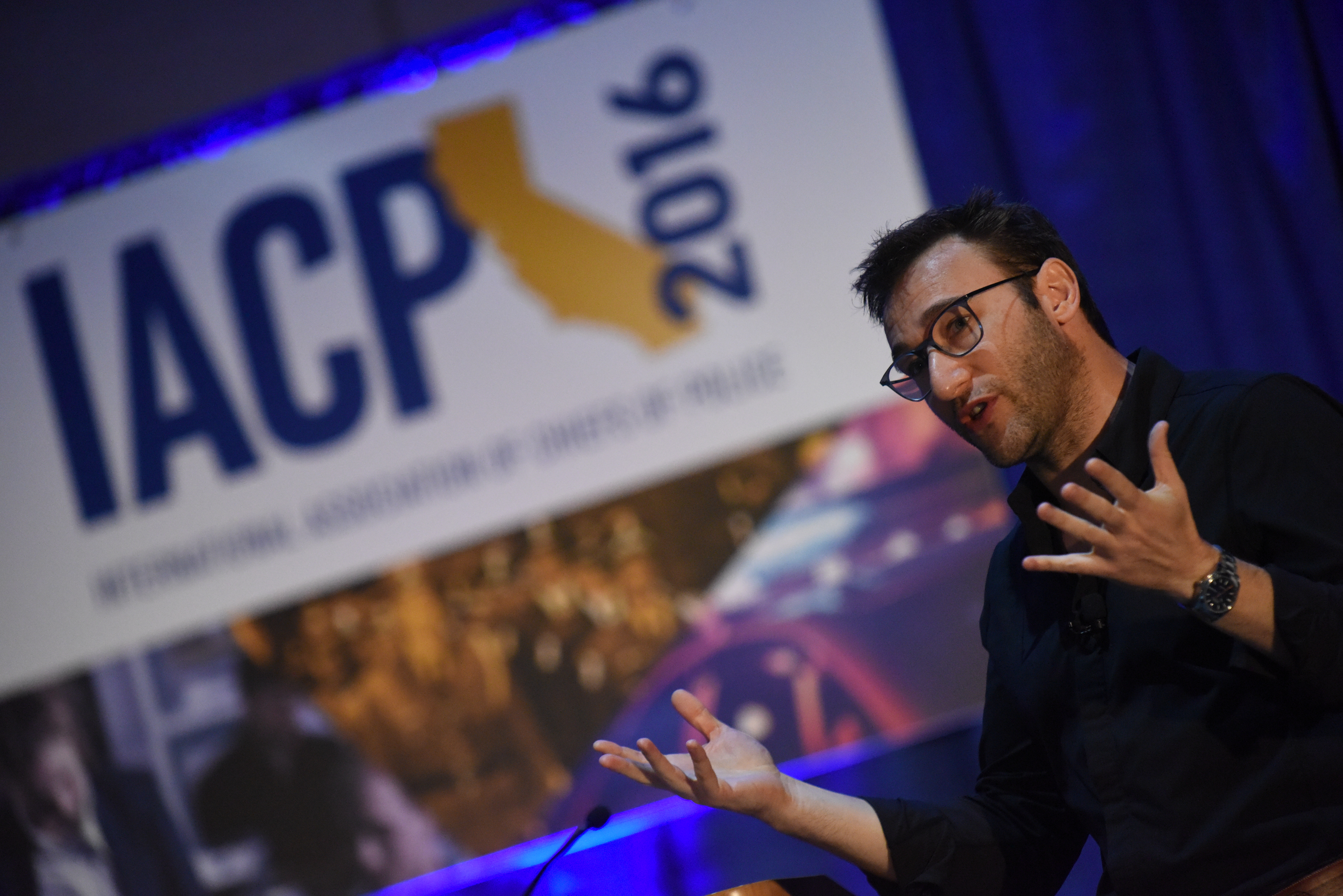 iacp2016day2sinek