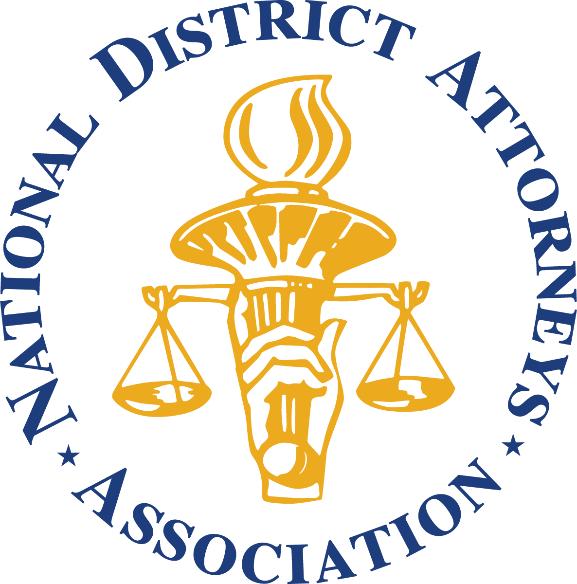 NDAA Logo